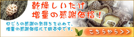 ���������������ʂ̊��Ӊ��i�I�I